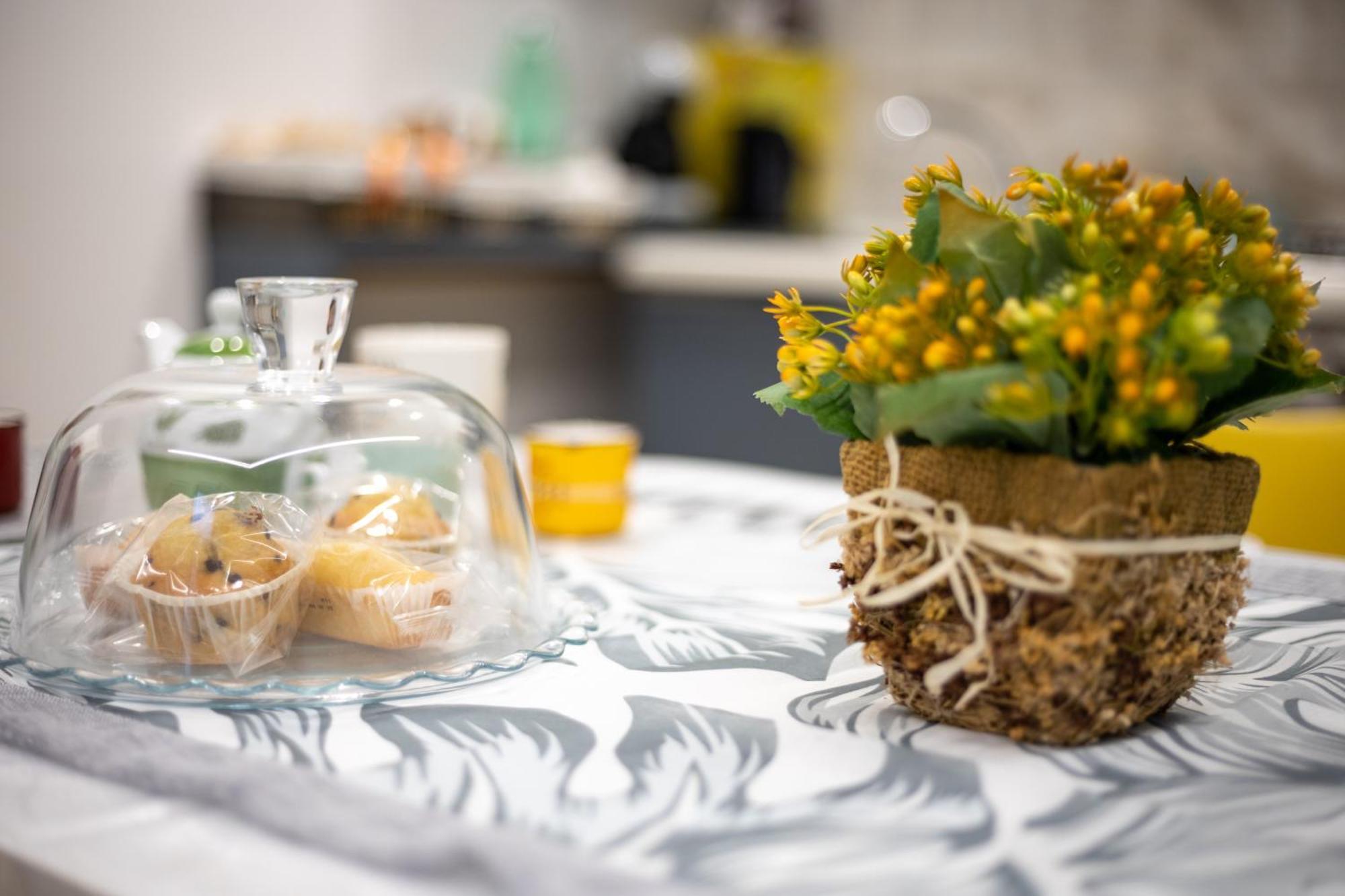 Filo Apartment Capua